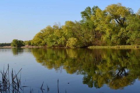 Дніпро- дзеркало Запоріжчини